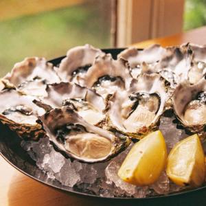 piatto di ostriche fresche con salsa servito in un ristorante